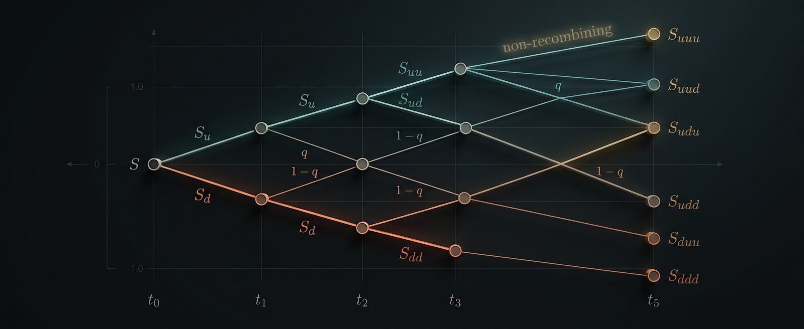 A non-recombining binomial price lattice branching from a starting price S through several up/down steps, each branch labelled with the risk-neutral probability q or 1-q, ending in a distinct terminal value for every up/down path.